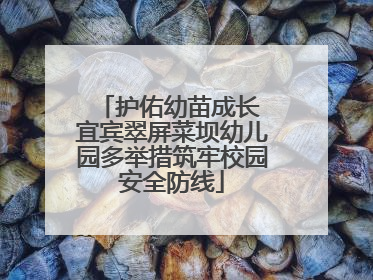 护佑幼苗成长 宜宾翠屏菜坝幼儿园多举措筑牢校园安全防线