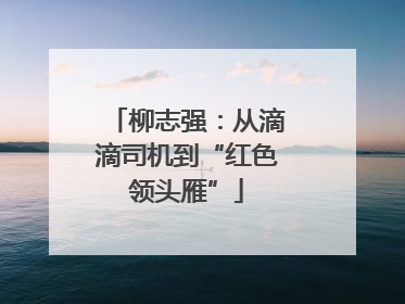 柳志强：从滴滴司机到“红色领头雁”