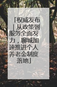 权威发布｜从政策到服务全面发力，聊城加速推进个人养老金制度落地