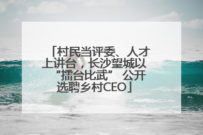 村民当评委、人才上讲台，长沙望城以“擂台比武” 公开选聘乡村CEO