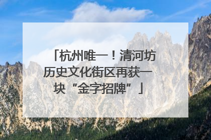 杭州唯一！清河坊历史文化街区再获一块“金字招牌”