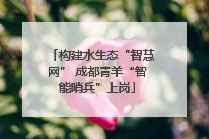 构建水生态“智慧网” 成都青羊“智能哨兵”上岗