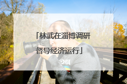 林武在淄博调研督导经济运行