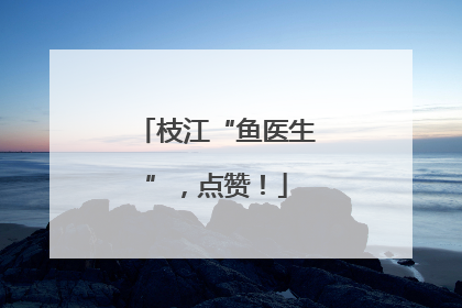 枝江“鱼医生”，点赞！