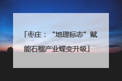 枣庄：“地理标志”赋能石榴产业蝶变升级