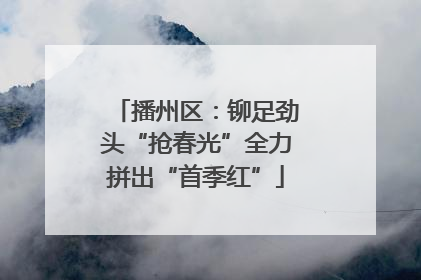 播州区：铆足劲头“抢春光”全力拼出“首季红”