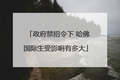 政府禁招令下 哈佛国际生受影响有多大