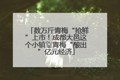 数万斤青梅“抢鲜”上市！成都大邑这个小镇靠青梅“酿出”亿元经济