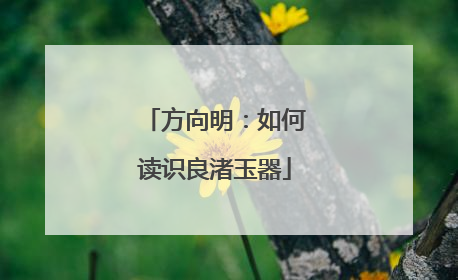 方向明：如何读识良渚玉器
