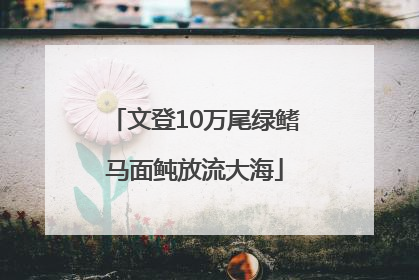 文登10万尾绿鳍马面鲀放流大海