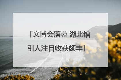 文博会落幕 湖北馆引人注目收获颇丰