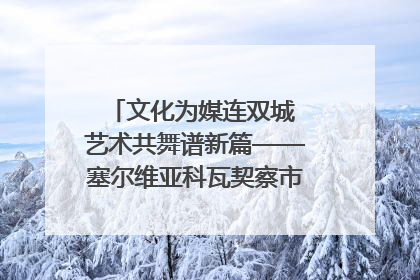 文化为媒连双城 艺术共舞谱新篇——塞尔维亚科瓦契察市代表团访问日照