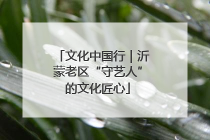文化中国行｜沂蒙老区“守艺人”的文化匠心