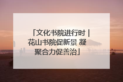 文化书院进行时｜花山书院促新景 凝聚合力促善治
