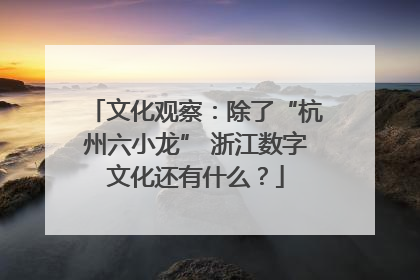 文化观察：除了“杭州六小龙” 浙江数字文化还有什么？