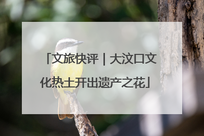 文旅快评｜大汶口文化热土开出遗产之花