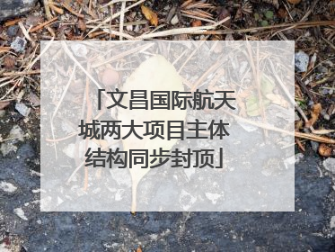 文昌国际航天城两大项目主体结构同步封顶