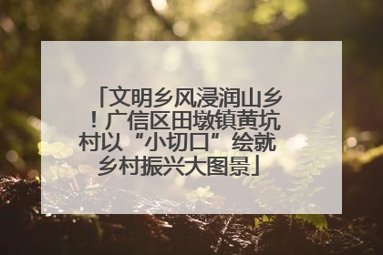 文明乡风浸润山乡！广信区田墩镇黄坑村以“小切口”绘就乡村振兴大图景