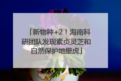 新物种+2！海南科研团队发现素贞灵芝和自然保护地壁虎