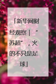 新华网财经观察｜“苏超”，火的不只是足球