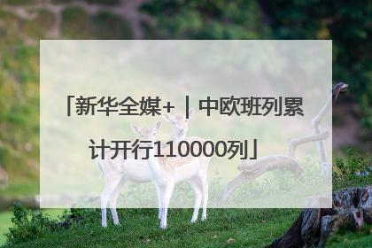 新华全媒+｜中欧班列累计开行110000列