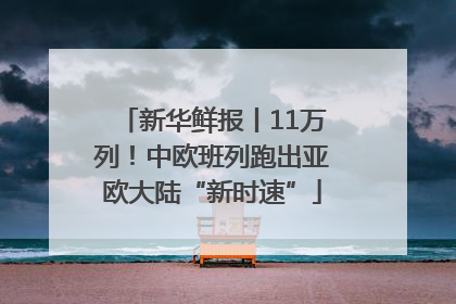 新华鲜报丨11万列！中欧班列跑出亚欧大陆“新时速”