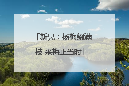 新晃：杨梅缀满枝 采梅正当时