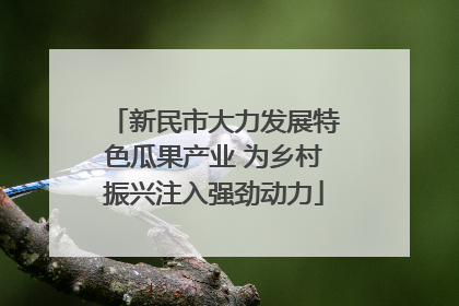 新民市大力发展特色瓜果产业 为乡村振兴注入强劲动力