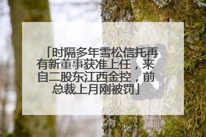时隔多年雪松信托再有新董事获准上任，来自二股东江西金控，前总裁上月刚被罚