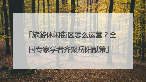 旅游休闲街区怎么运营？全国专家学者齐聚岳阳献策