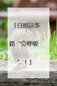 日照这条路“会呼吸”！
