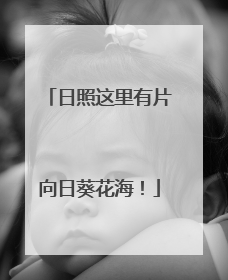 日照这里有片向日葵花海！