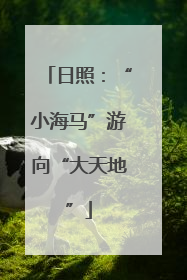 日照：“小海马”游向“大天地”