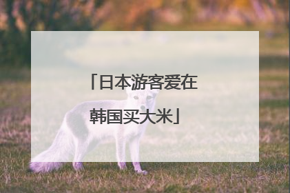 日本游客爱在韩国买大米