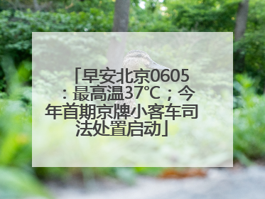 早安北京0605：最高温37℃；今年首期京牌小客车司法处置启动