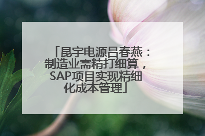 昆宇电源吕春燕：制造业需精打细算，SAP项目实现精细化成本管理