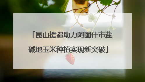 昆山援疆助力阿图什市盐碱地玉米种植实现新突破