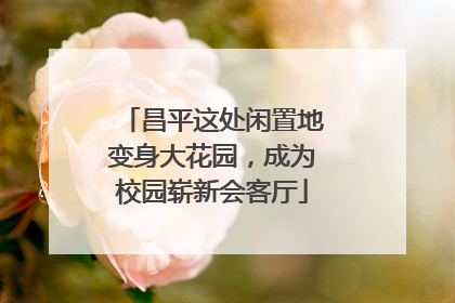 昌平这处闲置地变身大花园，成为校园崭新会客厅