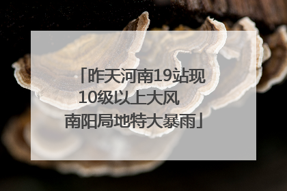 昨天河南19站现10级以上大风  南阳局地特大暴雨