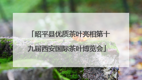 昭平县优质茶叶亮相第十九届西安国际茶叶博览会