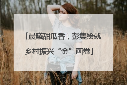 晨曦甜瓜香，彭集绘就乡村振兴“金”画卷
