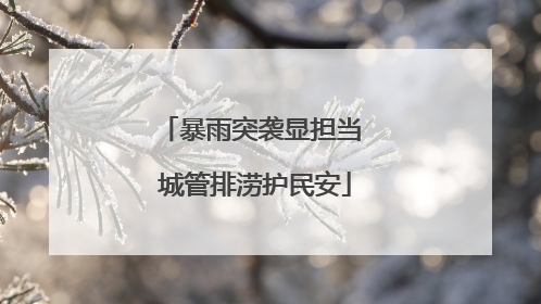 暴雨突袭显担当 城管排涝护民安