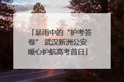 暴雨中的“护考答卷” 武汉新洲公安暖心护航高考首日