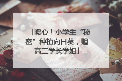 暖心！小学生“秘密”种植向日葵，赠高三学长学姐