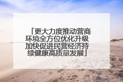 更大力度推动营商环境全方位优化升级加快促进民营经济持续健康高质量发展