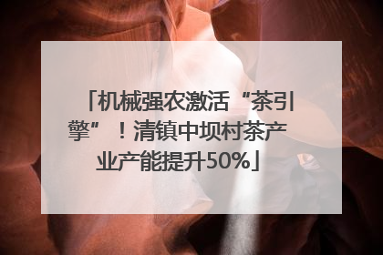 机械强农激活“茶引擎”！清镇中坝村茶产业产能提升50%