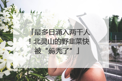 最多日涌入两千人！北灵山的野韭菜快被“薅秃了”