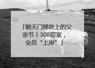 朝天门梯坎上的父亲节丨308寝室，全员“上岸”