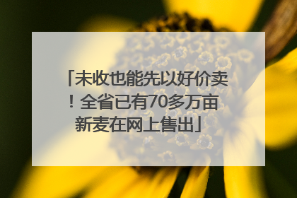 未收也能先以好价卖！全省已有70多万亩新麦在网上售出