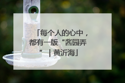 每个人的心中，都有一版“酱园弄”｜黄沂海